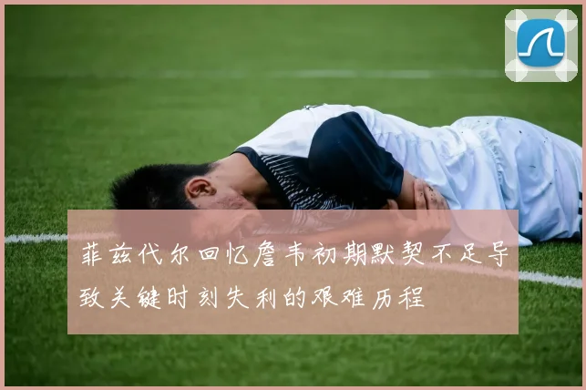 菲兹代尔回忆詹韦初期默契不足导致关键时刻失利的艰难历程