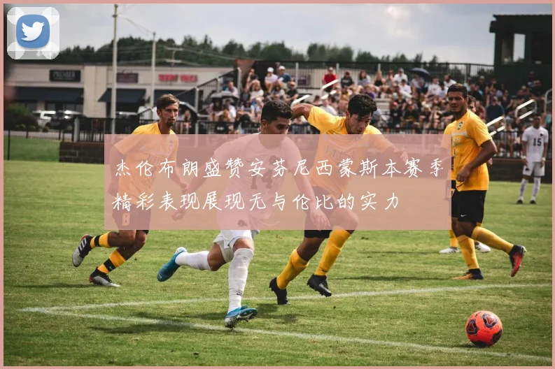 杰伦布朗盛赞安芬尼西蒙斯本赛季精彩表现展现无与伦比的实力